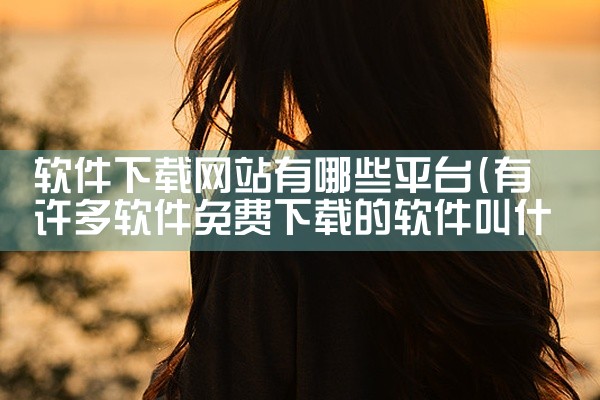 软件下载网站有哪些平台