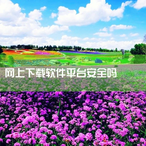 软件免费下载网站存在多种危险，主要包括安全风险、法律风险和隐私泄露风险。当我们考虑从软件免费下载网站获取软件时，必须警惕其中潜藏的风险。这些风险不仅可能影响我们的计算机安全，还可能涉及法律问题和个人隐,