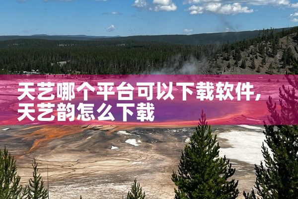 天艺哪个平台可以下载软件