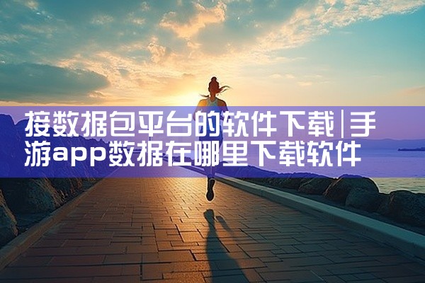 接数据包平台的软件下载