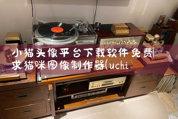 小猫头像平台下载软件免费