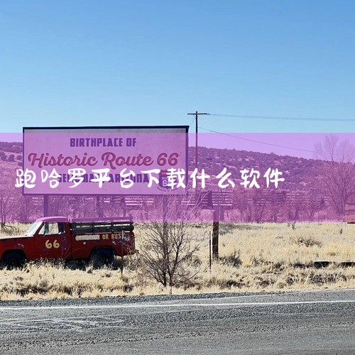 跑顺风车可以选择滴滴顺风车、哈啰顺风车、嘀嗒出行等软件接单。一、滴滴顺风车这是滴滴出行旗下的顺风车业务。它的优势在于用户群体广泛，订单量相对较多。平台提供了多种车型选择，能满足不同乘客的需求。而且滴滴,