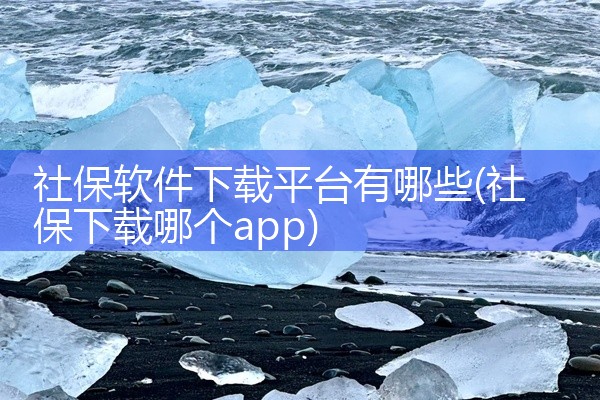 社保软件下载平台有哪些